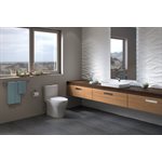 TOTO Aquia IV WASHLET+ Two-Piece Elongated Dual Flush 1.28 and 0.8 GPF Toilet with CEFIONTECT, Bone - MS446124CEMG#03