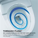 TOTO® Carolina® II Toilette monocoque allongée à hauteur universelle de 1,28 GPF avec siège CEFIONTECT et SS124 SoftClose, compatible WASHLET+, coton blanc - MS644124CEFG#01